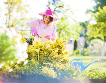 Cleaners NW11 grass cutting service team